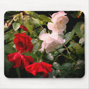 Drened Ro Flower Musmatta