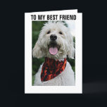 DRESS FÖR "BÄSTA FRIENDS BIRTHDAY" KORT<br><div class="desc">FÖR MIN BÄSTA VÄN - DENNA HUND ÄR EN UPPRESNING FÖR "DIN BIRTHDAY" OCH HANS TITTAR LYCKLIG FÖR ER OCKSÅ!</div>