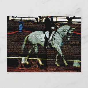 Dressage Art Vykort