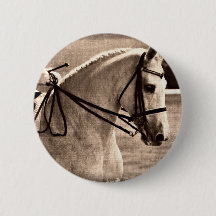 Dressage Grunge