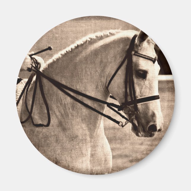 Dressage Grunge Magnet (Framsidan)