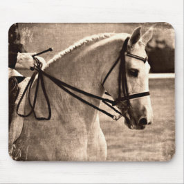Dressage Grunge Musmatta