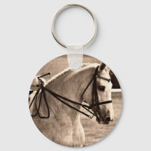 Dressage Grunge
