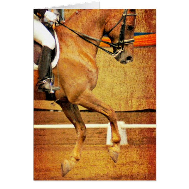 Dressage Hälsningskort (Framsidan)