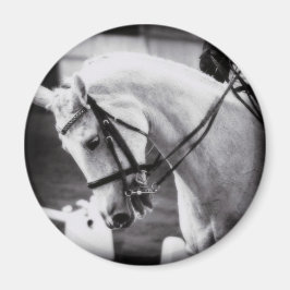 Dressage Horse Black and White Magnet