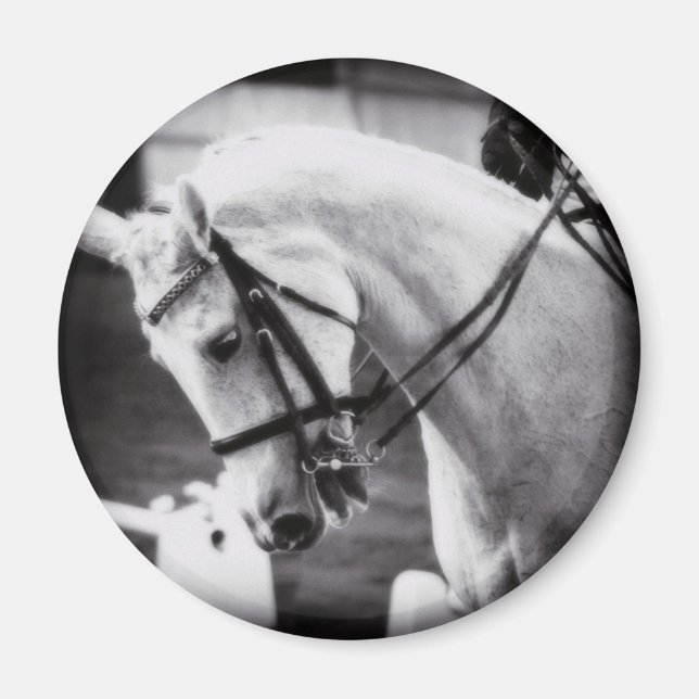 Dressage Horse Black and White Magnet (Framsidan)