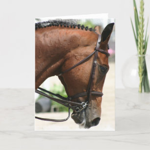 Dressage Horse Greeting Card Kort