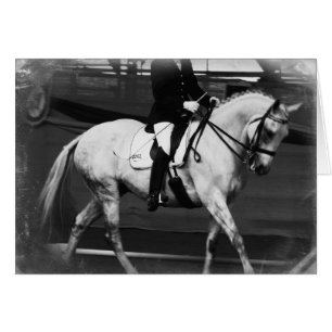 Dressage Horse Grunge Hälsningskort