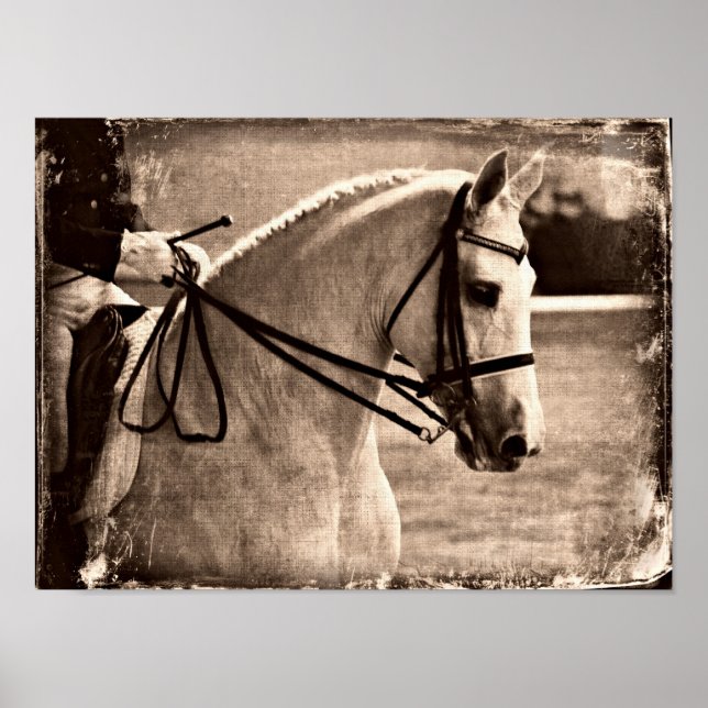 Dressage Horse Grunge Poster (Framsidan)