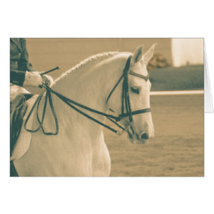 Dressage Horse Hälsningskort