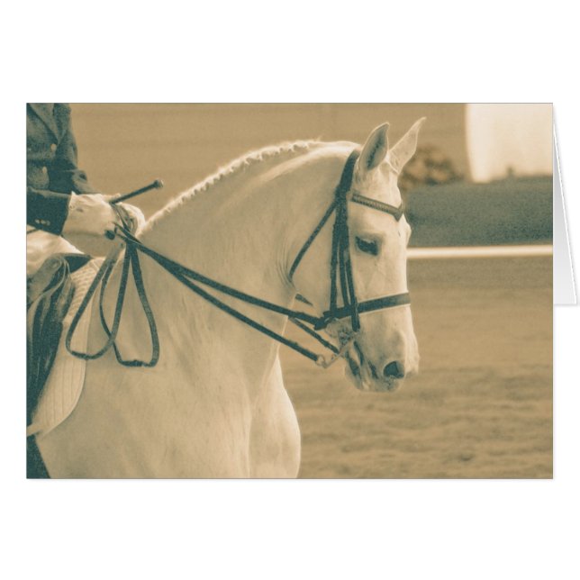 Dressage Horse Hälsningskort (Framsidan Horizontal)
