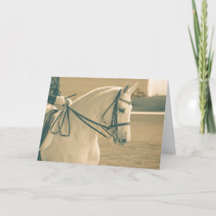 Dressage Horse Kort