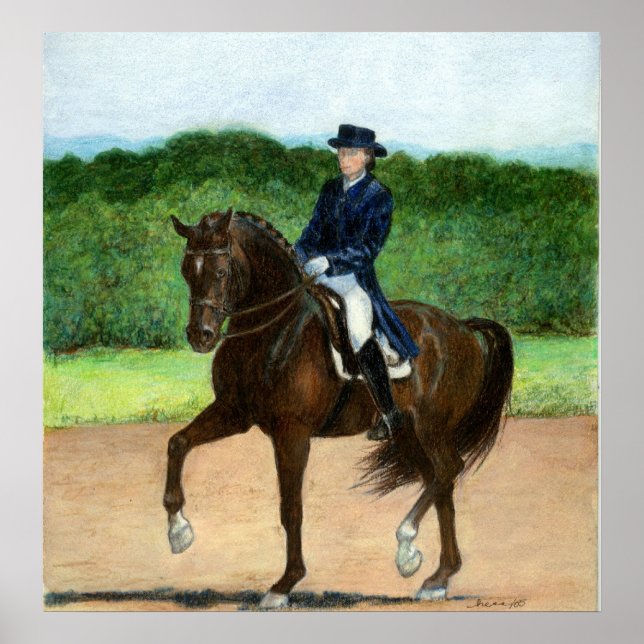 Dressage Horse Porträtt Poster (Framsidan)