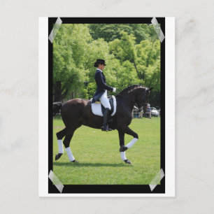 Dressage Horse Show Rider on Postcard Vykort