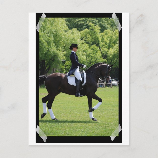 Dressage Horse Show Rider on Postcard Vykort (Framsida)