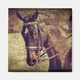Dressage Magnet