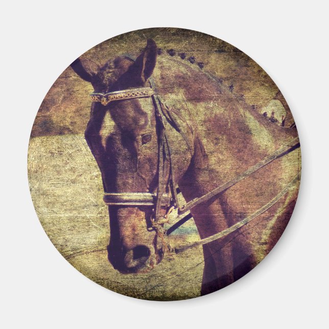 Dressage Magnet (Framsidan)