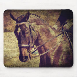 Dressage Musmatta
