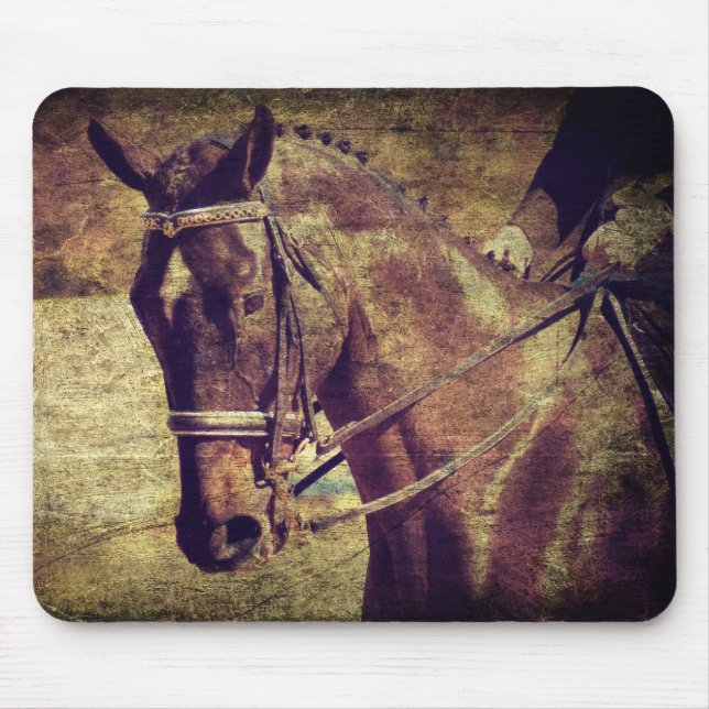 Dressage Musmatta (Framsidan)