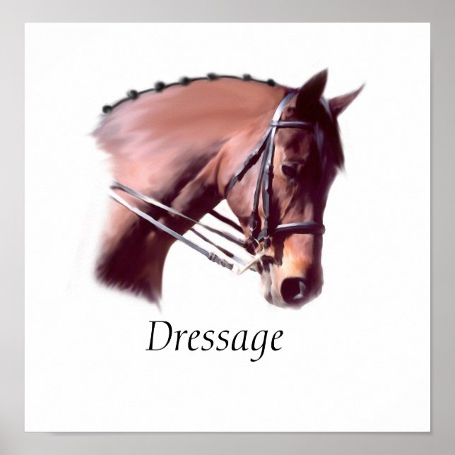 Dressage Poster (Framsidan)