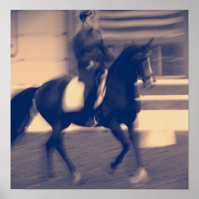 Dressage Poster (Framsidan)