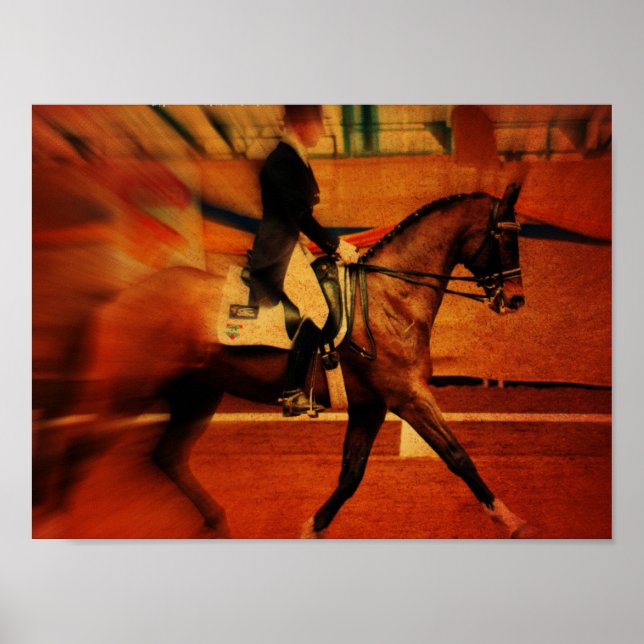 Dressage Poster (Framsidan)