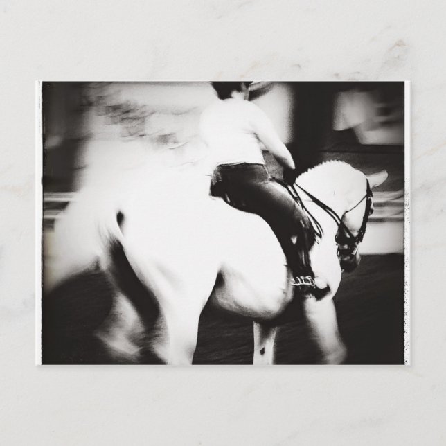 Dressage Vykort (Framsida)