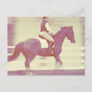 Dressage Vykort