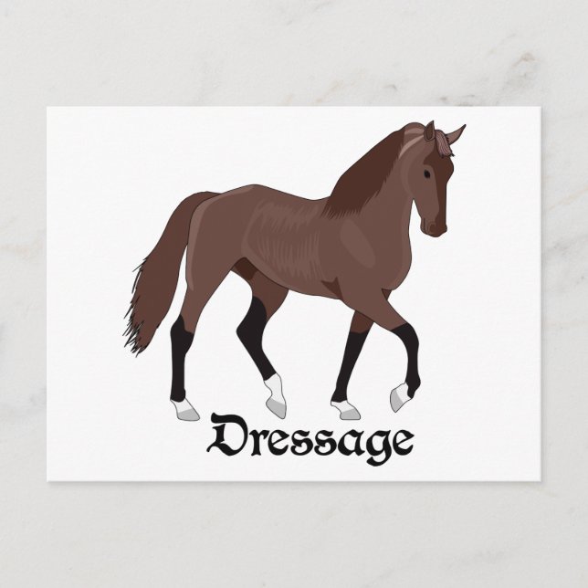 Dressage Vykort (Framsida)