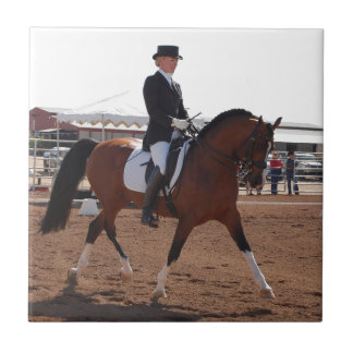 Dressagehästen belägger med tegel kakelplatta