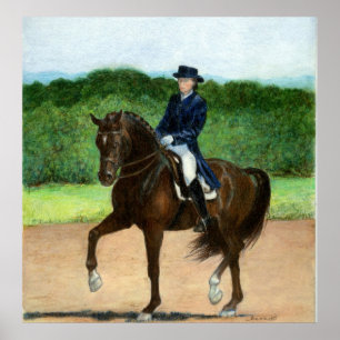 Dressagehästporträtt Poster