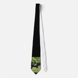DressagehästTie Slips