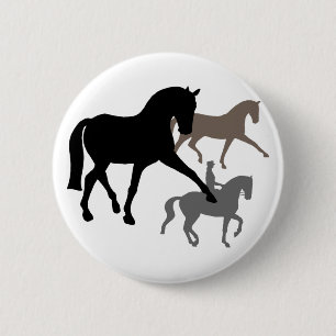 DressagehästTrio Knapp