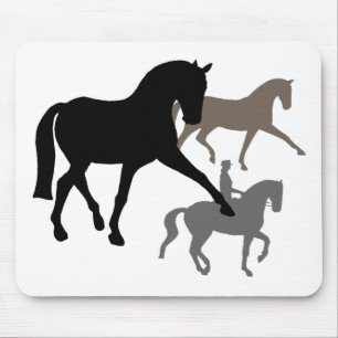 DressagehästTrio Musmatta