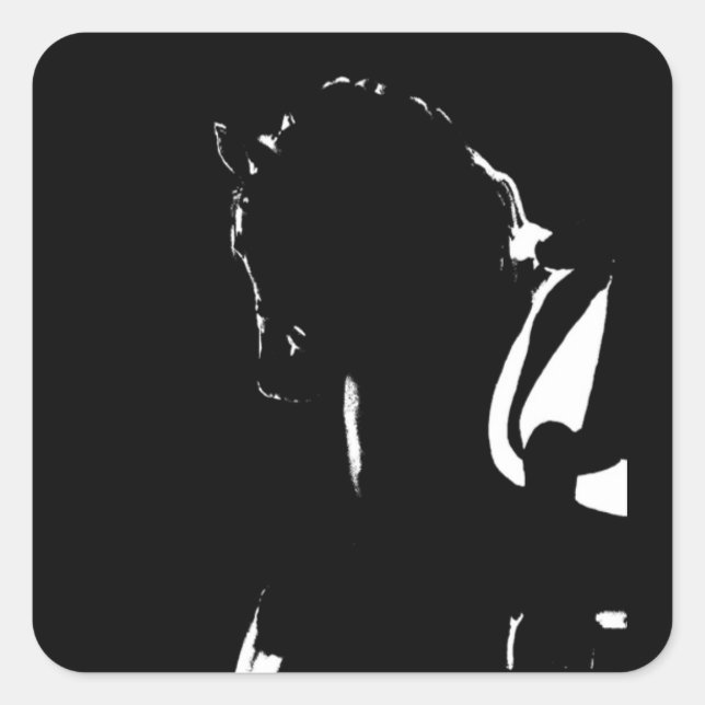 Dressidesmärken Fyrkantigt Klistermärke (Framsida)