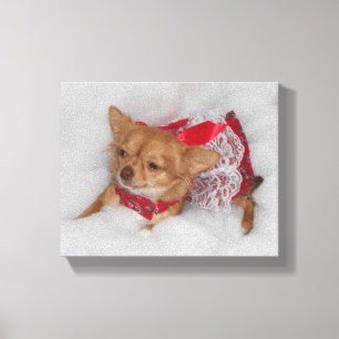 dressy chihuahuaprintprint canvastryck