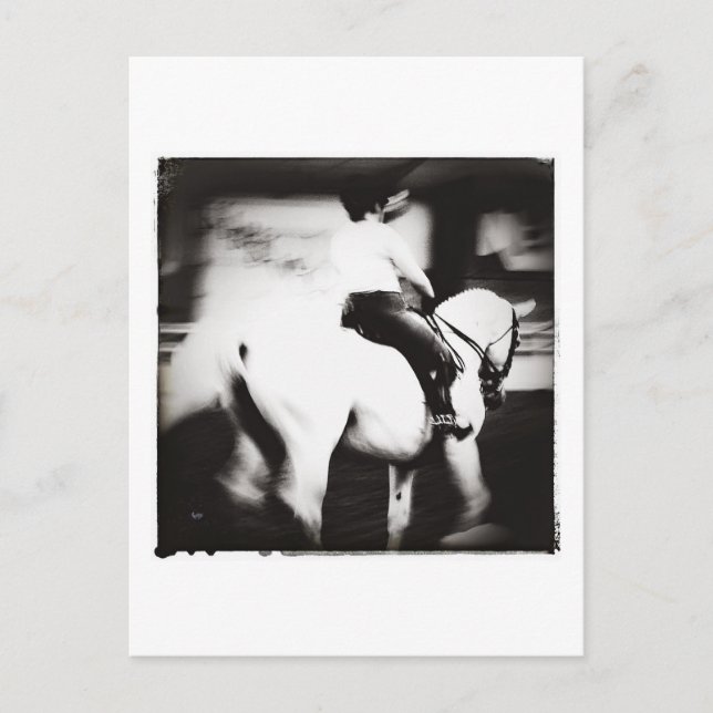 Dressyr Vykort (Framsida)