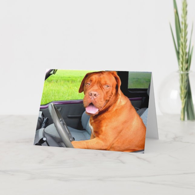 Drev som älskar fredglädjehunden dogue de bordeaux helgkort (Framsida)