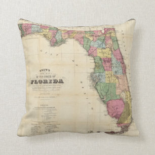 Drews ny karta av det statligt av Florida Kudde
