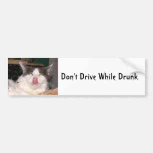 Drick inte full Funny cat Bumper Sticker Bildekal