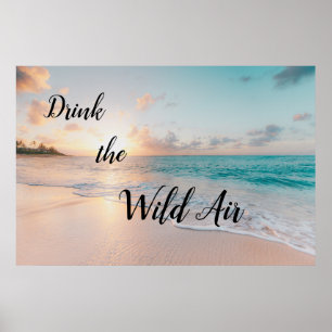 Drick Vilden Luft Poster