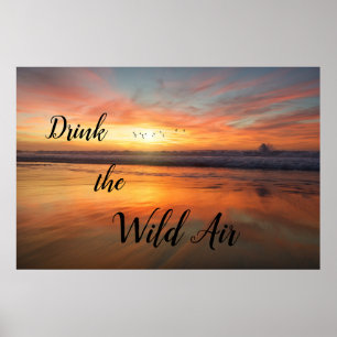 Drick Vilden Luft Poster