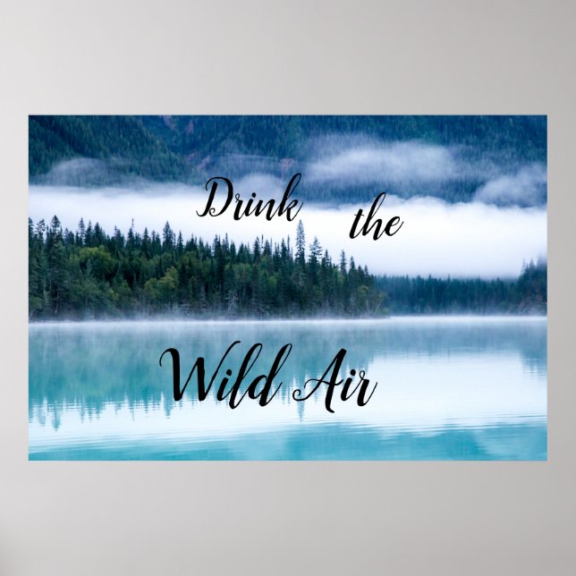 Drick Vilden Luft Poster (Framsidan)