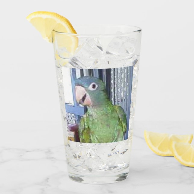 Dricka exponeringsglas med blåttkronan Conure Glaskopp (Framsida Ice)