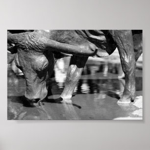 Dricka longhornen poster