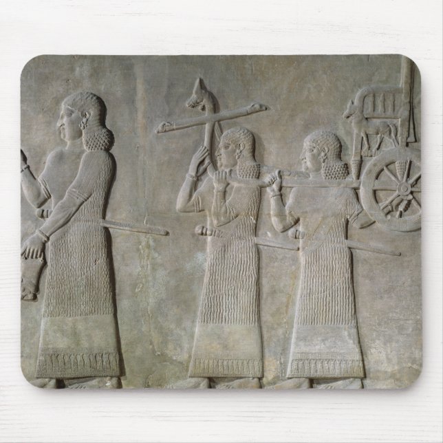 Dricka skyttlar & den kungliga triumfvagnen musmatta (Framsidan)