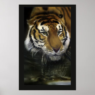 Dricka tigern poster