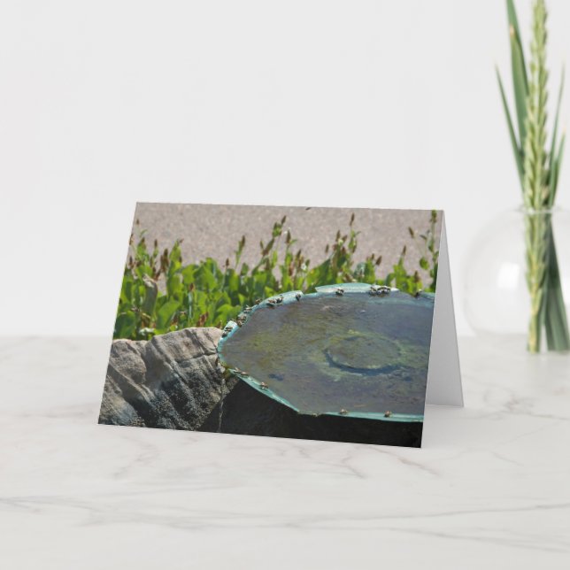 Dricksbin, Phoenix, Arizona Kort (Framsida)