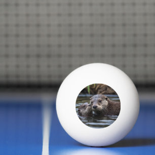 **"Drift i Kärlek: Mummy och Baby Otter"** Pingisboll