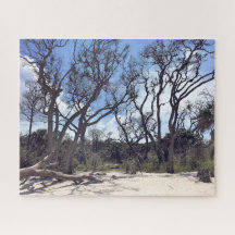 Driftvirke Beach Puzzle